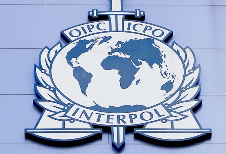 Interpol 1