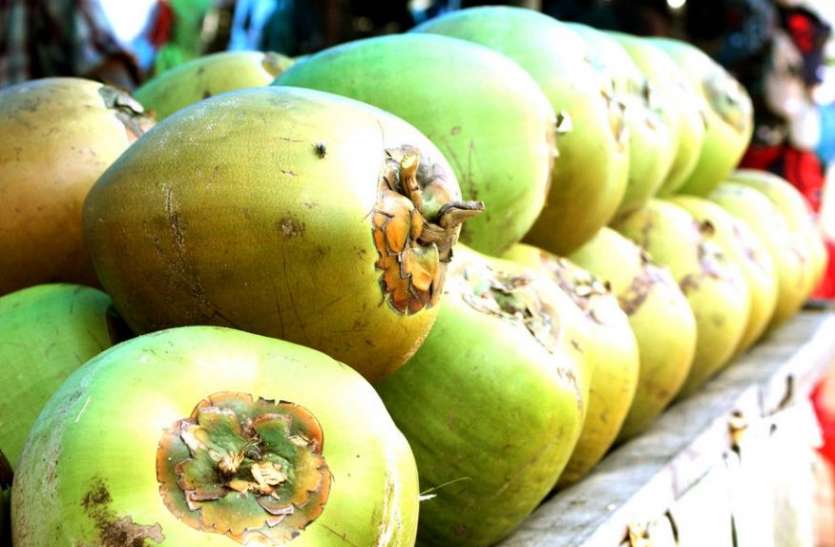 green_coconut_nariyal_6801000_835x547-m