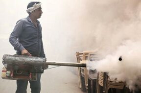 Ahmedabad, mosquito infestation (2)