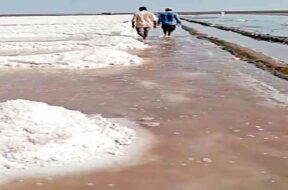 Agars flooded due to rain