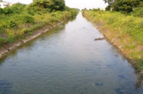 ukai dam canal-1