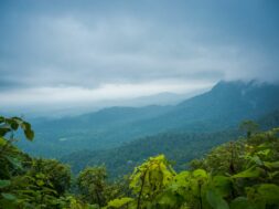 Beautiful View Of Western Ghats Karnataka, India