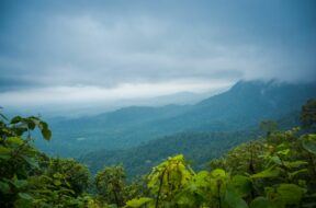 Beautiful View Of Western Ghats Karnataka, India