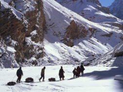 ladakh-banner