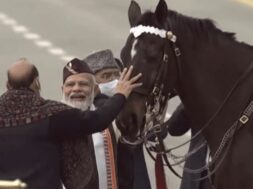 Horse virat