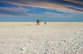 kutch rann-1