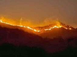 A fire broke out on the lapala hill of khambha-1