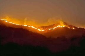 A fire broke out on the lapala hill of khambha-1