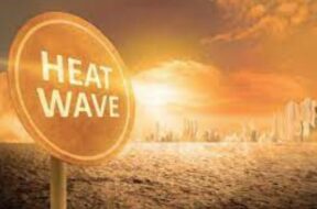 heatwave, garmi, Revoi.in