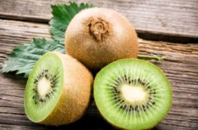 kiwi_625x350_81465372895