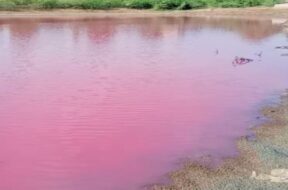 pink lake