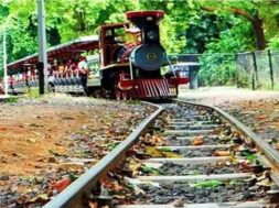 baroda childrans rail