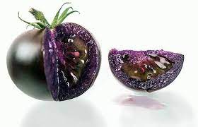 જાણો Purple Tomato થી થતા ફાયદાઓ વિશે