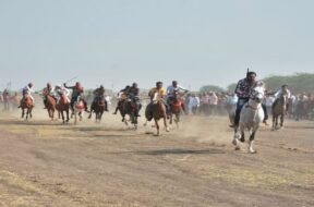 JAMNAGAR, HOURSE RACING