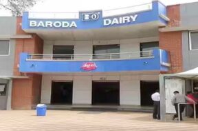 BARODA DAIRY