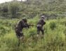 Jammu-and-Kashmir-Major-infiltration-attempt-foiled-one-Pakistani-infiltrator