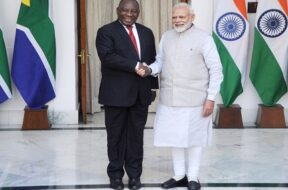 Modiphosa