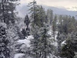 Himachal pradesh, snow