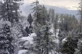 Himachal pradesh, snow