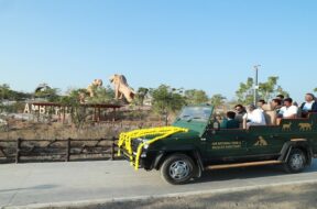 ambaradi safari park-1