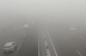 fog in delhi